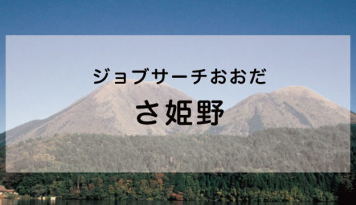 株式会社 さ姫野